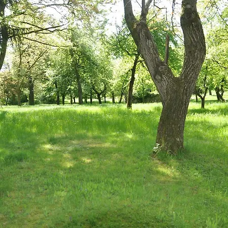 Viktoriaquelle 3* Fuerstenzell